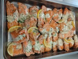 Tray of cooked salmon fillets with creamy herb sauce and lemon slices arranged on top.