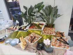 A buffet table with assorted appetizers, cheese, crackers, vegetables, and leafy green plants as decoration.